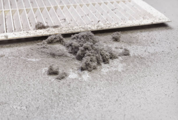 Best Affordable Air Duct Cleaning  in Magnolia, TX