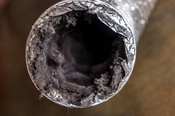 Best Residential Air Duct Cleaning  in Magnolia, TX